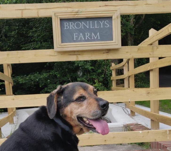 Bronllys Farm Coastal Self-Catering Appartement Llanelli Buitenkant foto